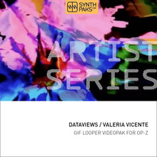 Load image into Gallery viewer, Dataviews - Artist Series - Valeria Vicente L. - OP-Z App Videopak - Synthpaks